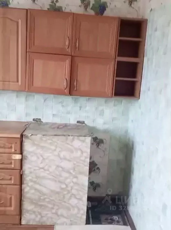 Дом в Калининградская область, Озерский муниципальный округ, пос. ... - Фото 2