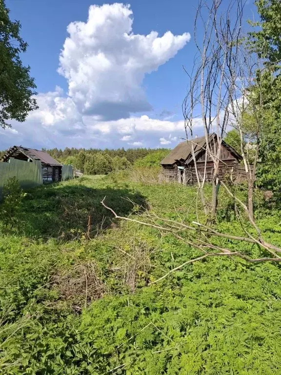 Участок в Пензенская область, Бессоновский район, Сосновский ... - Фото 1