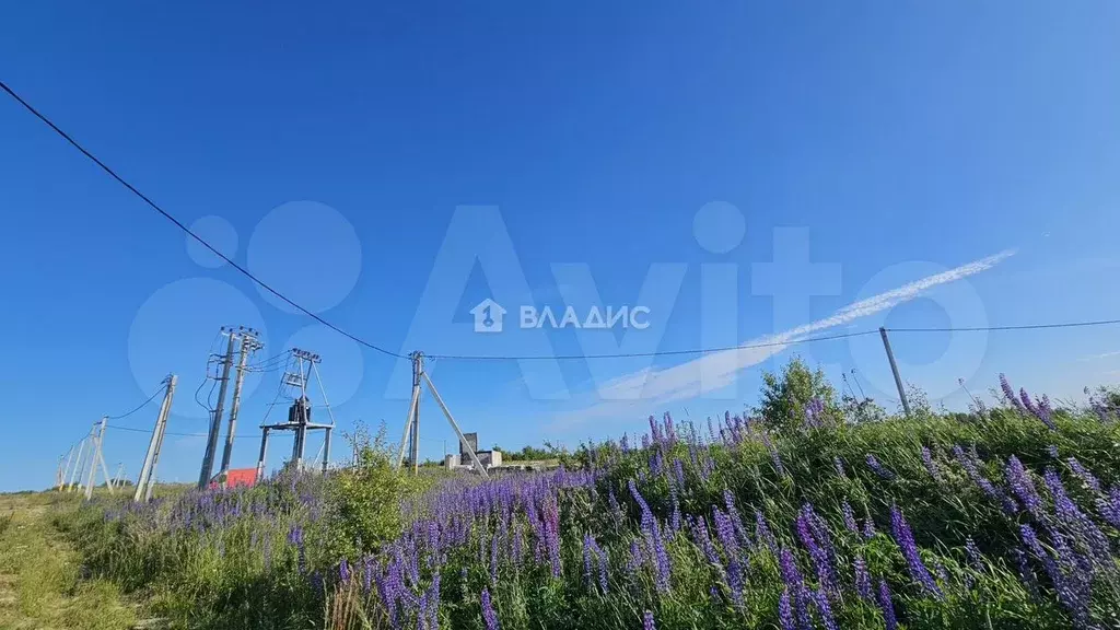 Участок 6 сот. (ИЖС) - Фото 1