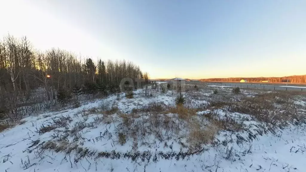 Участок в Тюменская область, Тюменский муниципальный округ, с. Кулига, ... - Фото 1