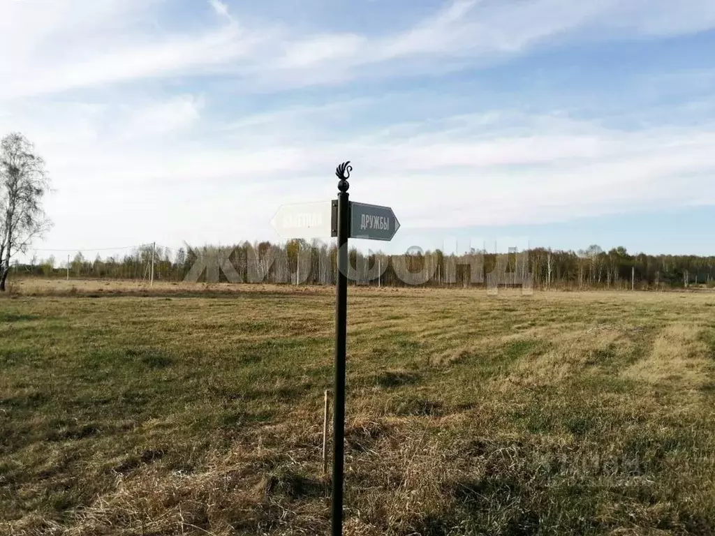 Участок в Новосибирская область, Новосибирский район, Криводановский ... - Фото 2