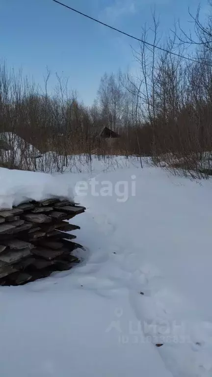 Участок в Курганская область, Шадринск Моховая ул. (10.0 сот.) - Фото 1