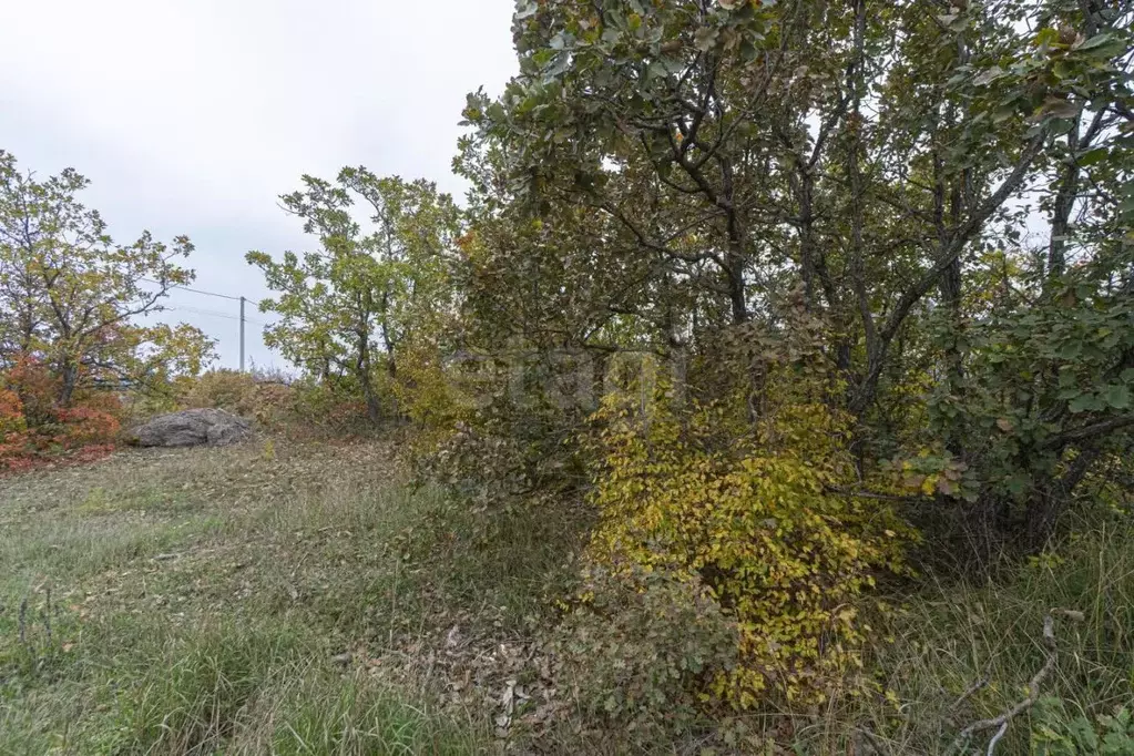 Участок в Севастополь ул. Ясеневая, 85 (5.66 сот.) - Фото 2