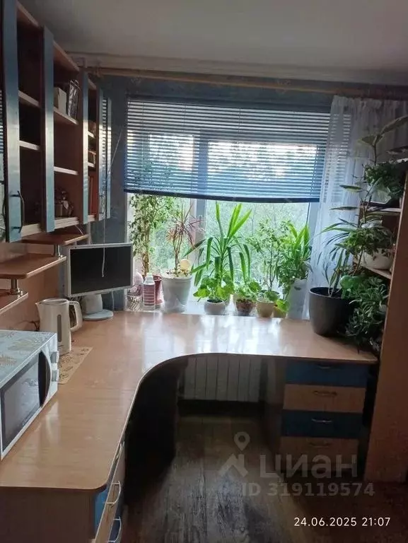 Комната Санкт-Петербург, Санкт-Петербург, Петергоф ул. Бородачева, 8 - Фото 1