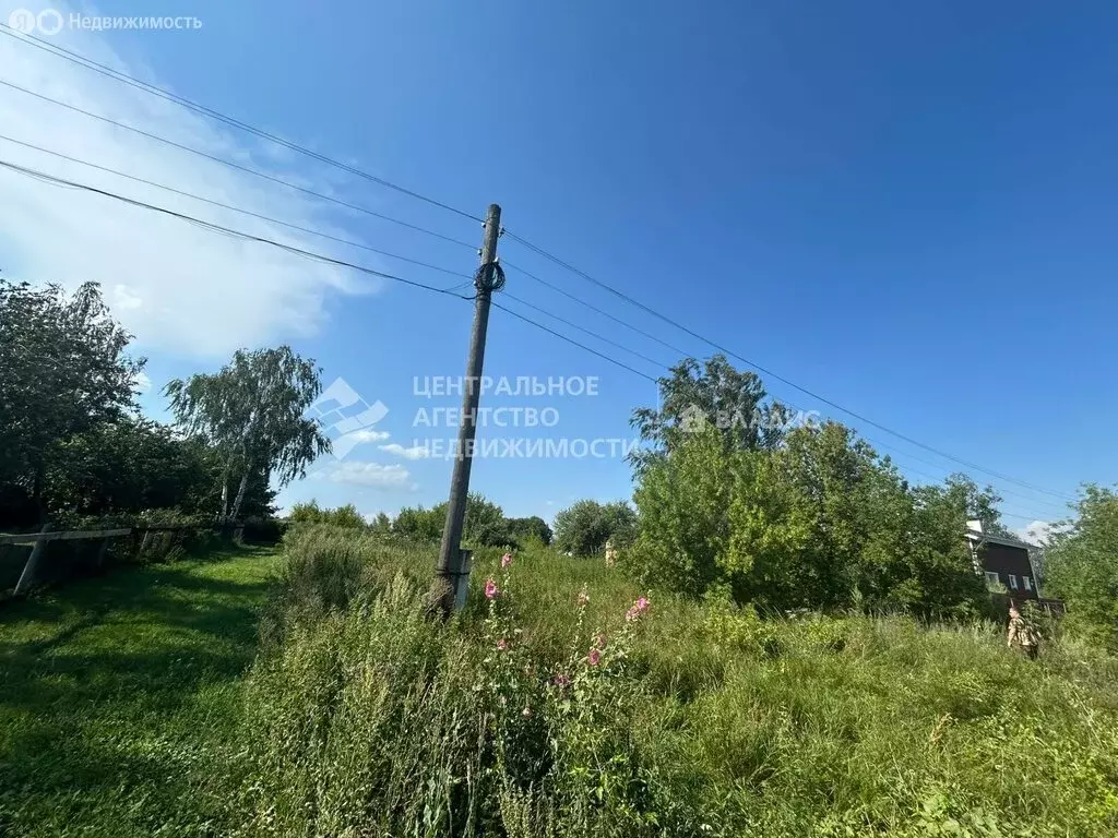 Участок в Рязанская область, Михайловский муниципальный округ, село ... - Фото 1