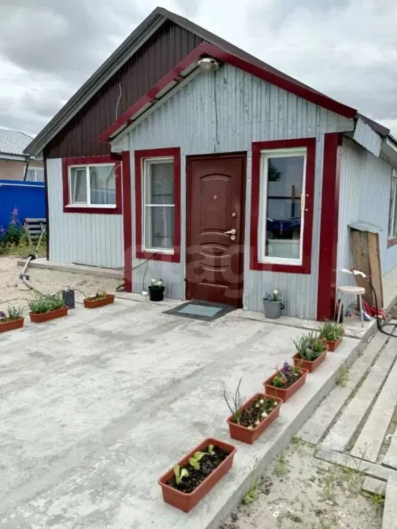 Дом в Ямало-Ненецкий АО, Новый Уренгой Лира ДНТ, ул. Моховая, 13 (48 ... - Фото 1