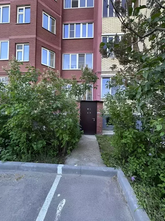 Офис в Татарстан, Казань ул. Столярова, 15А (137 м) - Фото 1