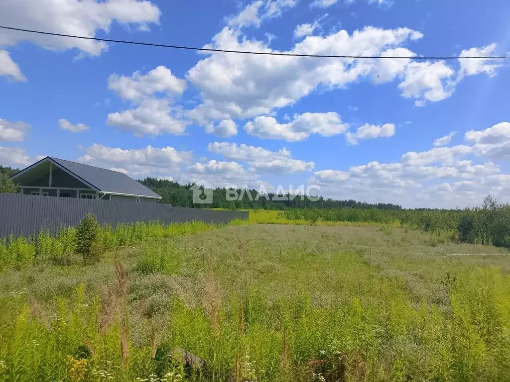 Участок в Нижегородская область, Богородский муниципальный округ, д. ... - Фото 2