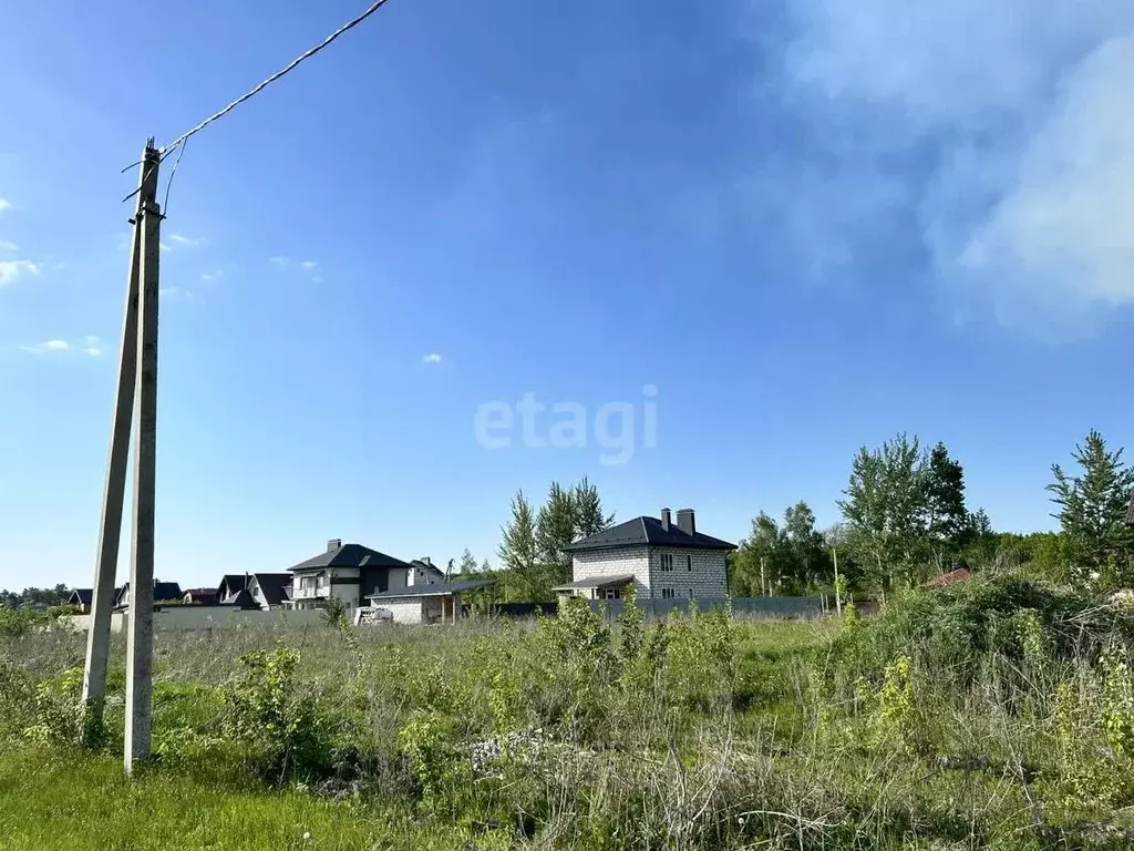 Участок в Воронежская область, Новоусманский район, Усманское 1-е ... - Фото 1