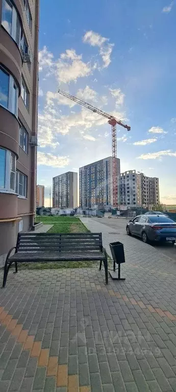 3-к кв. Воронежская область, Воронеж ул. Коренцова, 9 (70.0 м) - Фото 1