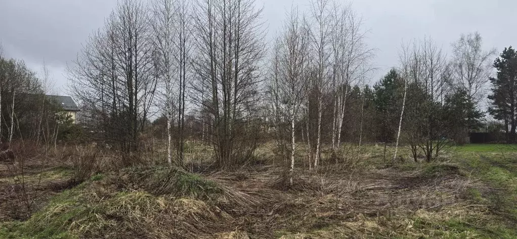 Участок в Московская область, Раменский муниципальный округ, д. ... - Фото 2