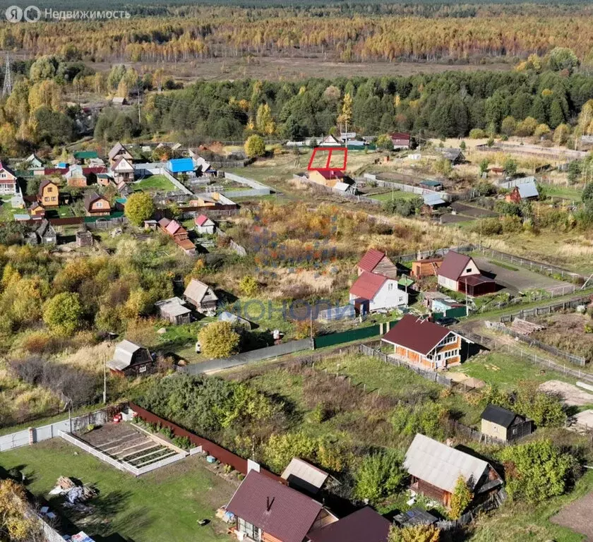 Участок в посёлок городского типа Сосновка, садоводческий ... - Фото 0