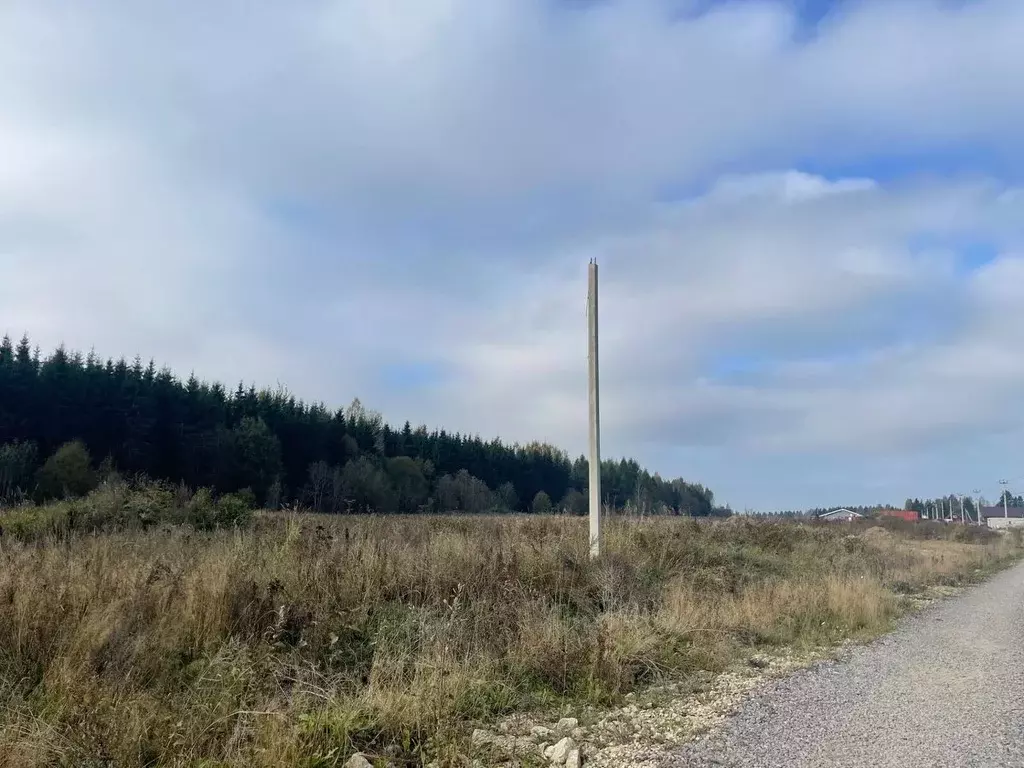 Участок в Ленинградская область, Ломоносовский район, Гостилицкое ... - Фото 2