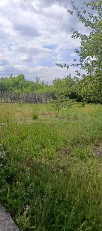 Участок 10 сот. (СНТ, ДНП) - Фото 1