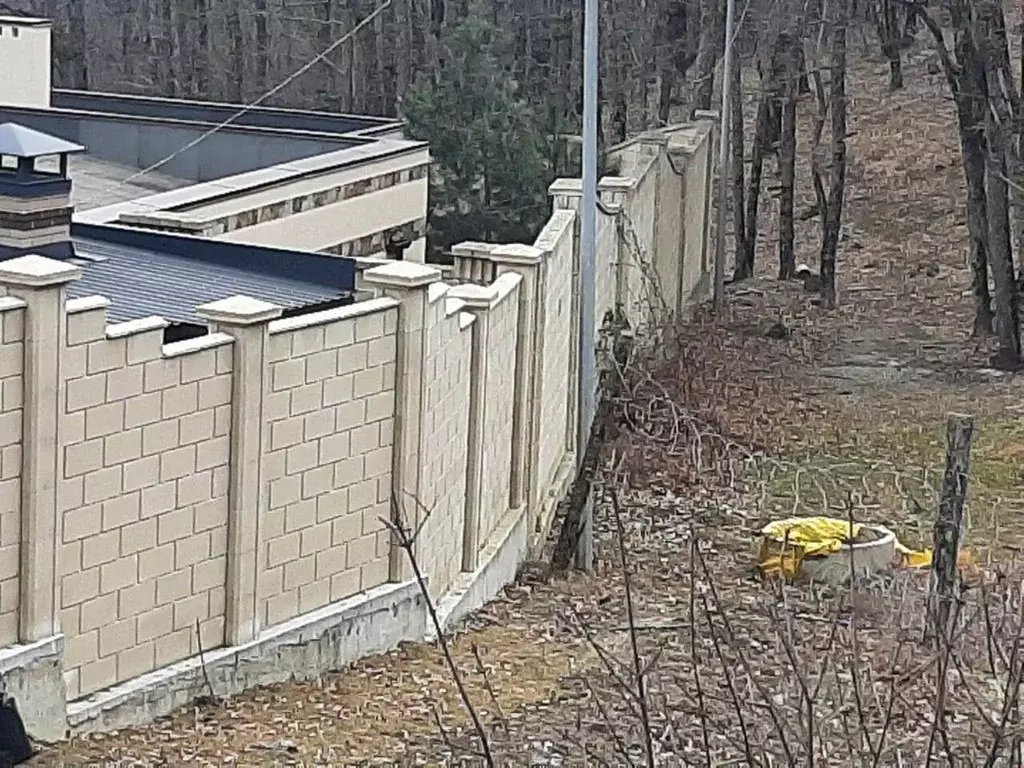 Участок в Крым, Ялта городской округ, Виноградное пгт ш. ... - Фото 2