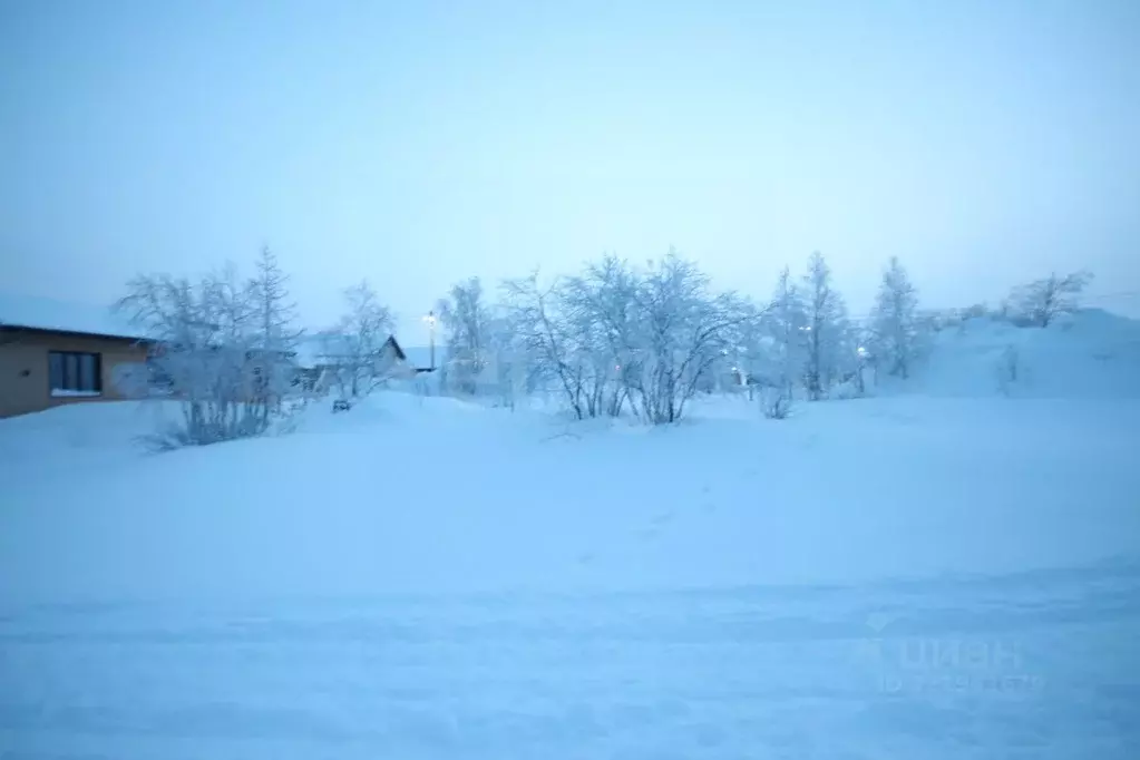 Участок в Ямало-Ненецкий АО, Новый Уренгой Дружба ДНТ, проезд 2-й ... - Фото 2