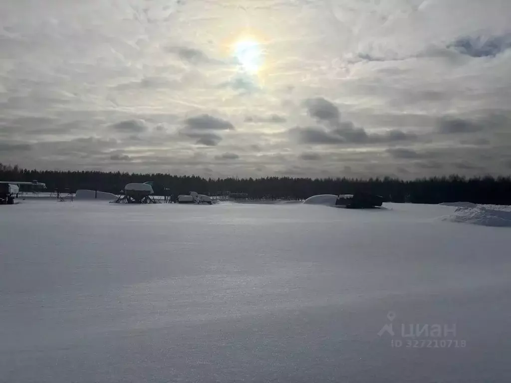 Участок в Московская область, Павлово-Посадский городской округ, с. ... - Фото 1