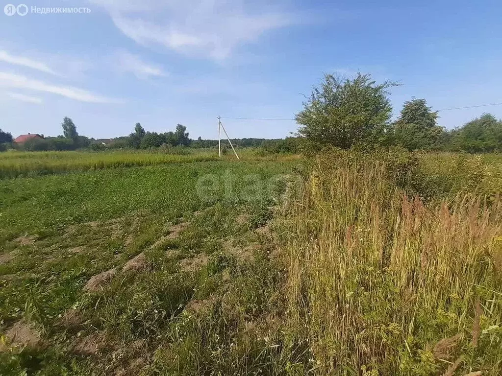 Участок в Калининградская область, Гурьевский муниципальный округ, ... - Фото 2