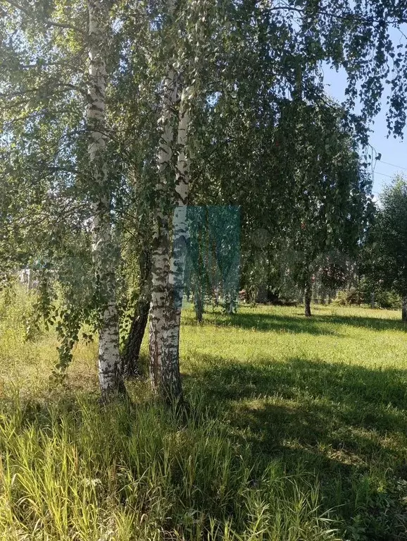 Участок 6 сот. (СНТ, ДНП) - Фото 0