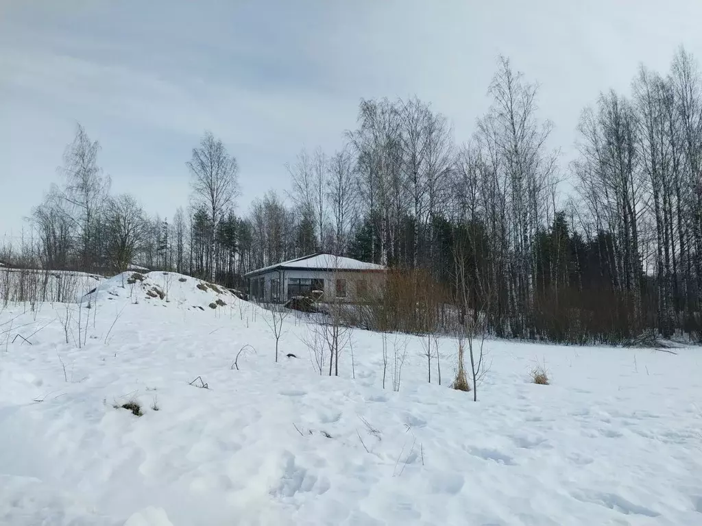 Участок в Ленинградская область, Всеволожский район, Лесколовское ... - Фото 1