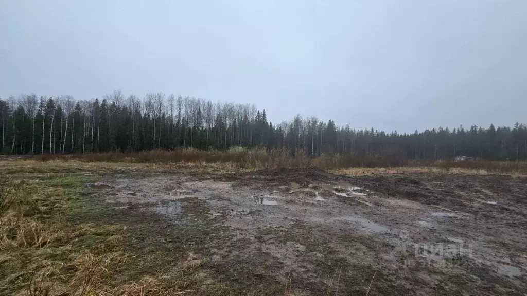 Участок в Ленинградская область, Всеволожский район, Лесколовское ... - Фото 0