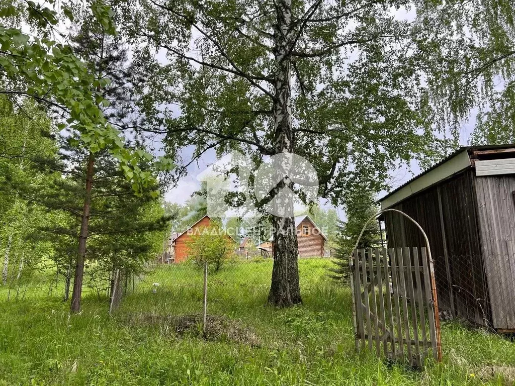 Участок в Новосибирская область, Новосибирский район, Барышевский ... - Фото 1