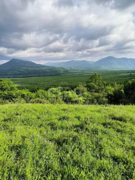 Участок в Адыгея, Майкопский район, Даховская ст-ца  (305.0 сот.) - Фото 1