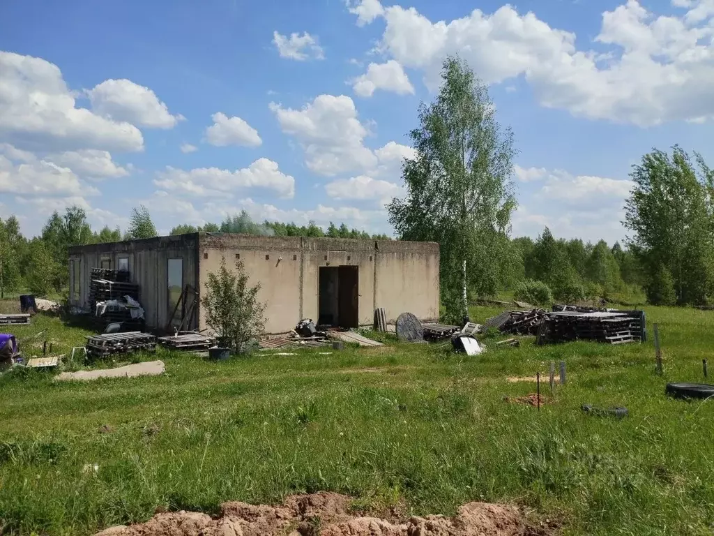 Дом в Смоленская область, Рославльский муниципальный округ, с. ... - Фото 2