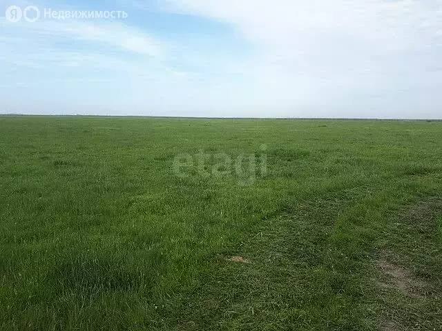 Участок в Пятина, Советская улица (20 м) - Фото 0