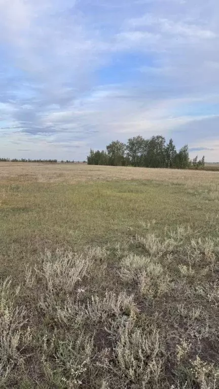 Участок в Саха (Якутия), Якутск ш. Покровское (10.0 сот.) - Фото 1
