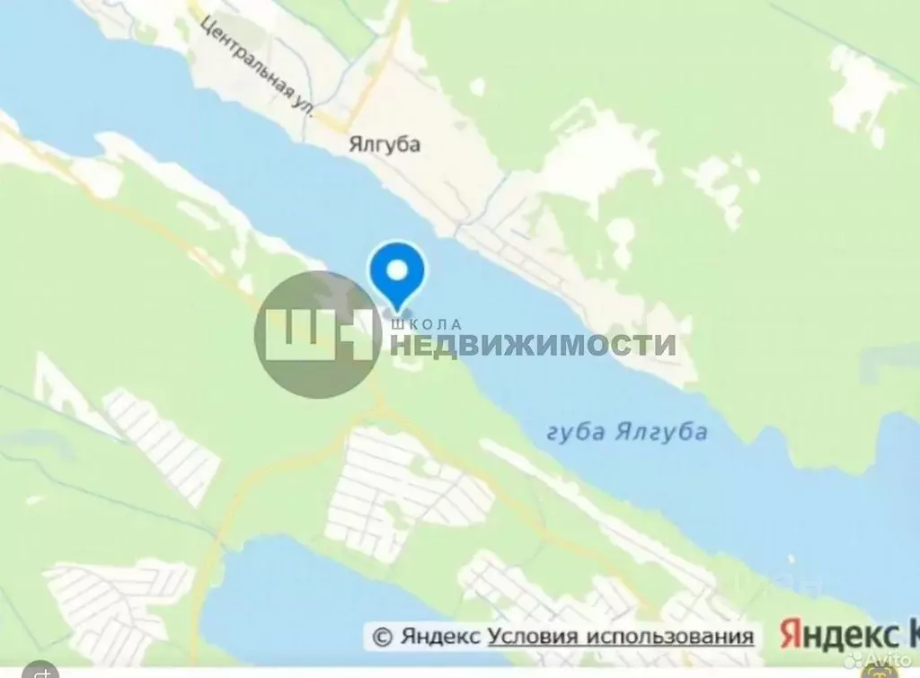 Участок в Карелия, Прионежский район, Заозерское с/пос, Пиньгуба мест. ... - Фото 1