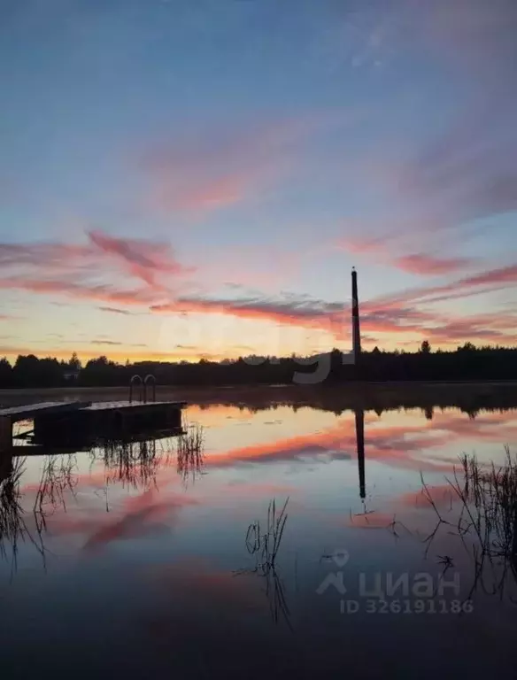 Участок в Ленинградская область, Волховский район, Пашское с/пос, д. ... - Фото 2