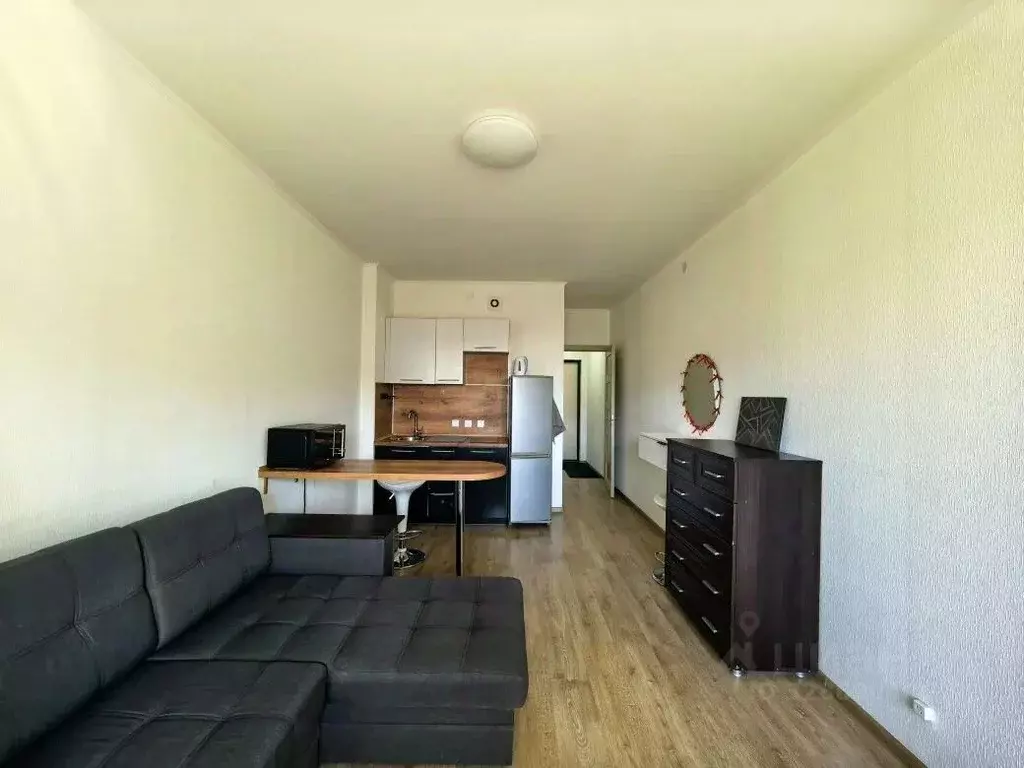 Студия Санкт-Петербург просп. Ветеранов, 169к2 (23.4 м) - Фото 2