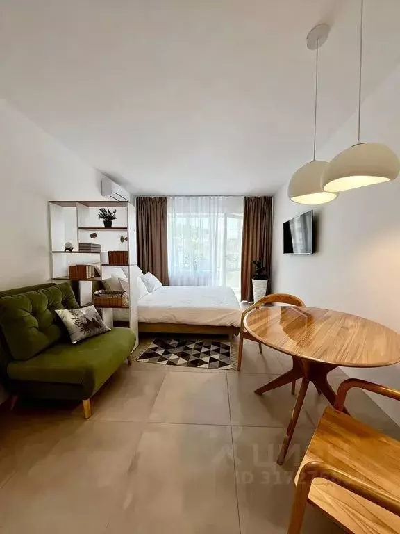 Студия Алтайский край, Белокуриха ул. Соболева, 22 (26.0 м) - Фото 1