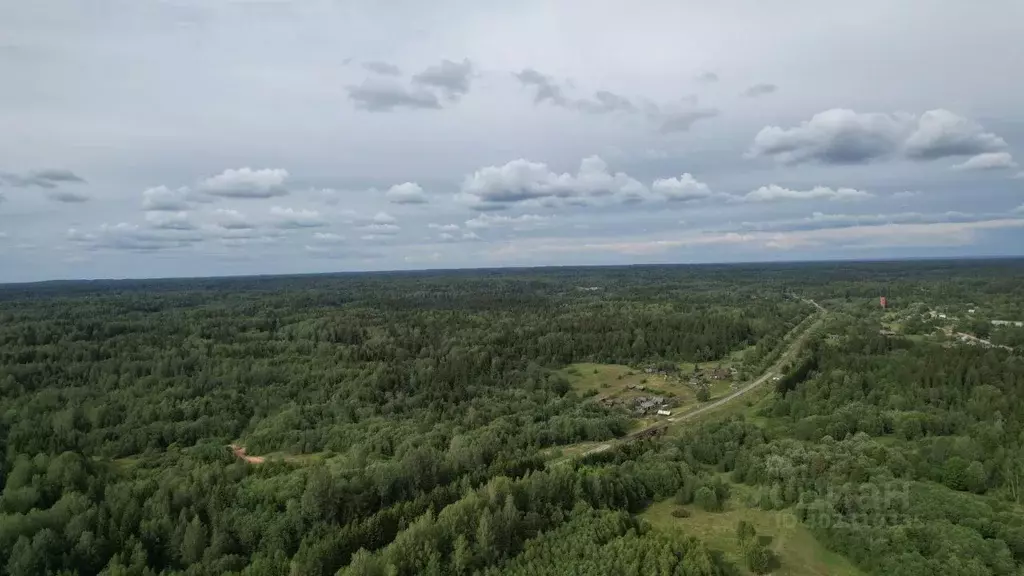 Участок в Тверская область, Торопецкий муниципальный округ, д. ... - Фото 1