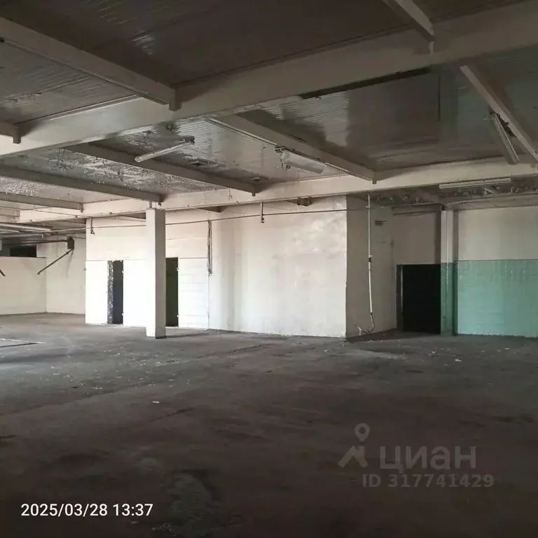 Помещение свободного назначения в Оренбургская область, Оренбург ... - Фото 1