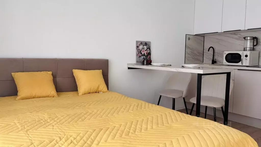 Студия Москва ул. Добролюбова, 8к1 (20.0 м) - Фото 1