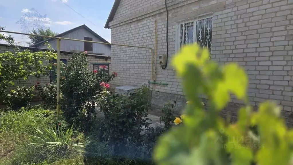 Дом в Воронежская область, Воронеж ул. Генерала Ефремова, 155А (69 м) - Фото 1