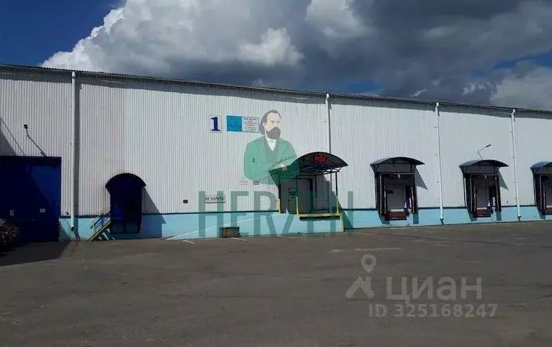 Склад в Московская область, Щелково Хотовская ул., 47 (9000 м) - Фото 1