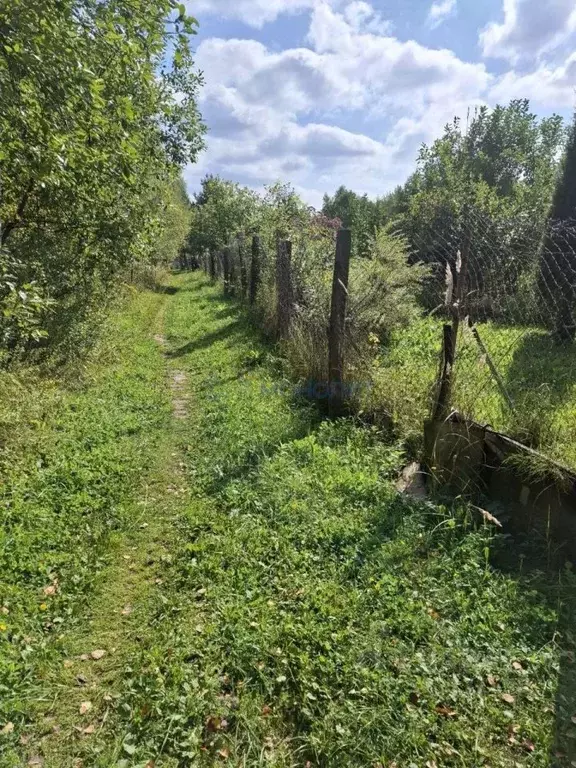 Участок в Нижегородская область, Богородский муниципальный округ, Русь ... - Фото 1