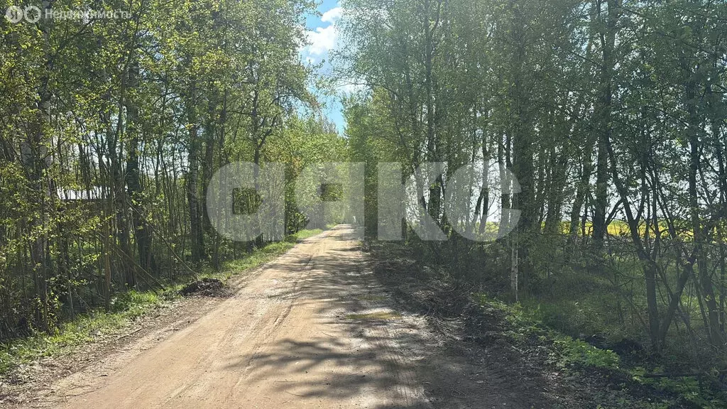Участок в Московская область, Раменский муниципальный округ, село ... - Фото 0