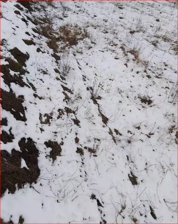 Участок в Орловская область, Орловский район, с. Альшань  (6.1 сот.) - Фото 2