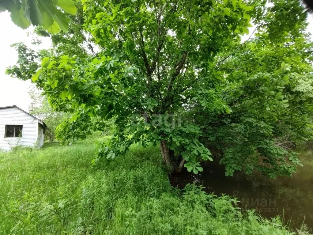 Участок в Приморский край, Уссурийский городской округ, с. Глуховка ... - Фото 0