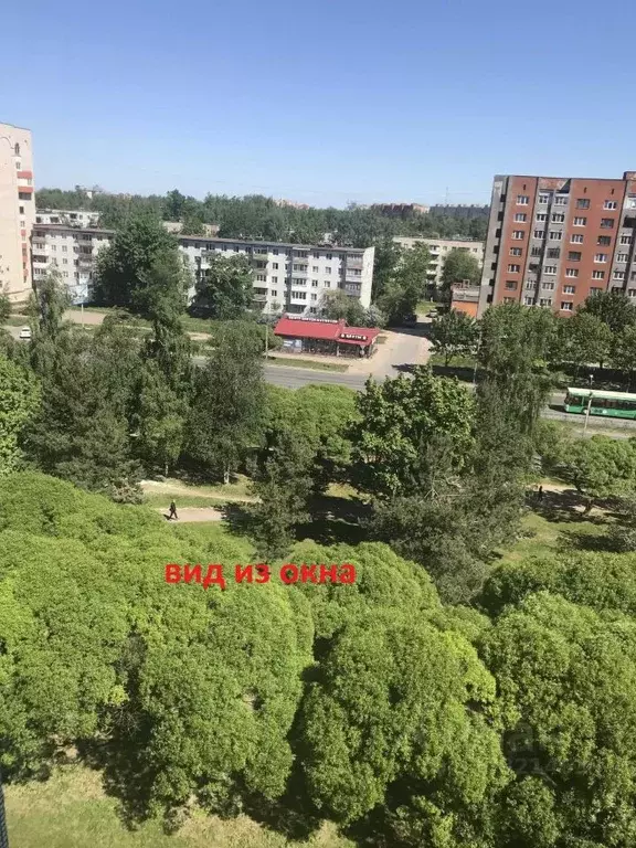 1-к кв. Псковская область, Псков Юбилейная ул., 50 (34.0 м) - Фото 1