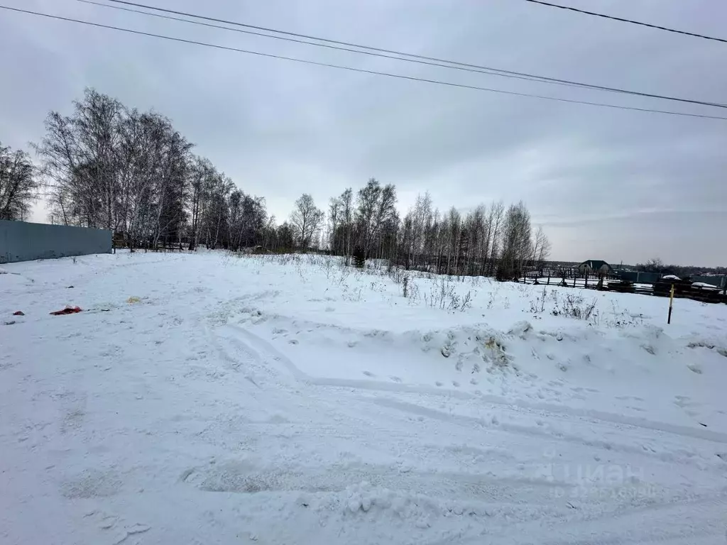 Участок в Челябинская область, Пласт ул. Розы Люксембург (7.0 сот.) - Фото 2