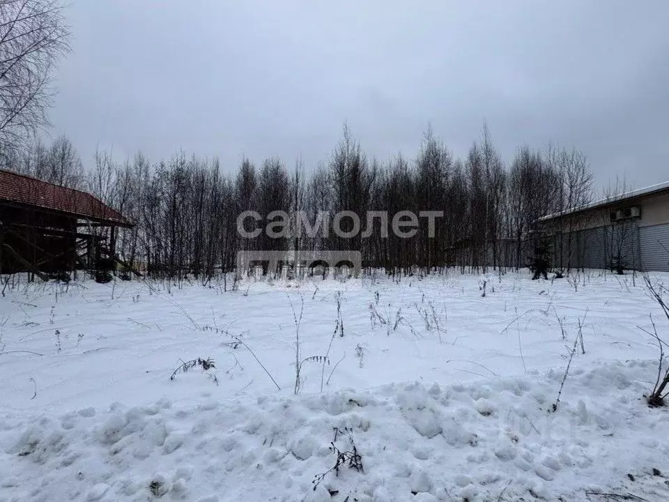 Участок в Московская область, Дмитровский муниципальный округ, с. ... - Фото 1