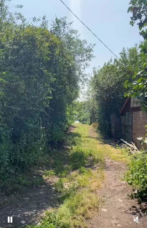 Участок в Пензенская область, Пенза Здоровье-1 садовое дачное ... - Фото 1