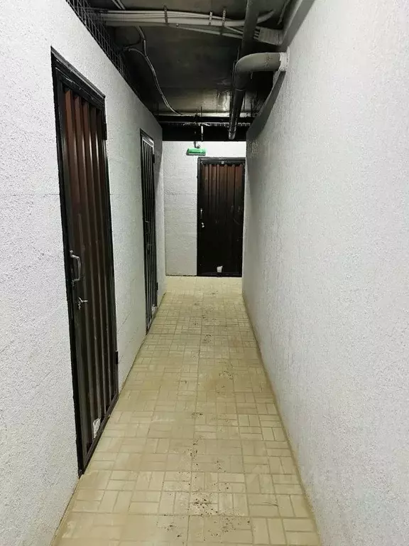 Склад в Смоленская область, Смоленск ул. Шевченко, 6 (4 м) - Фото 1