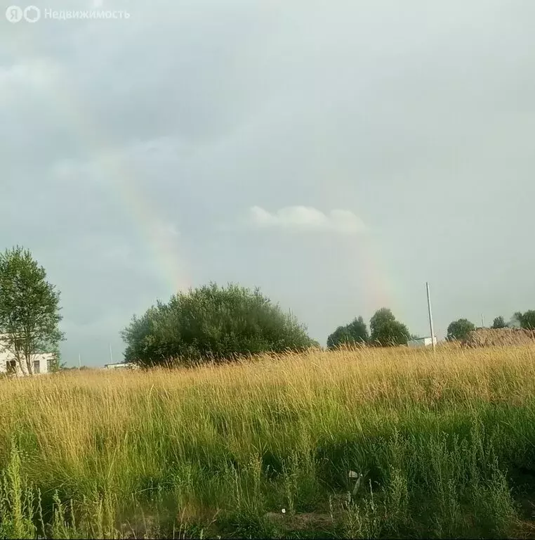 Участок в Лесколовское сельское поселение, коттеджный посёлок ... - Фото 1