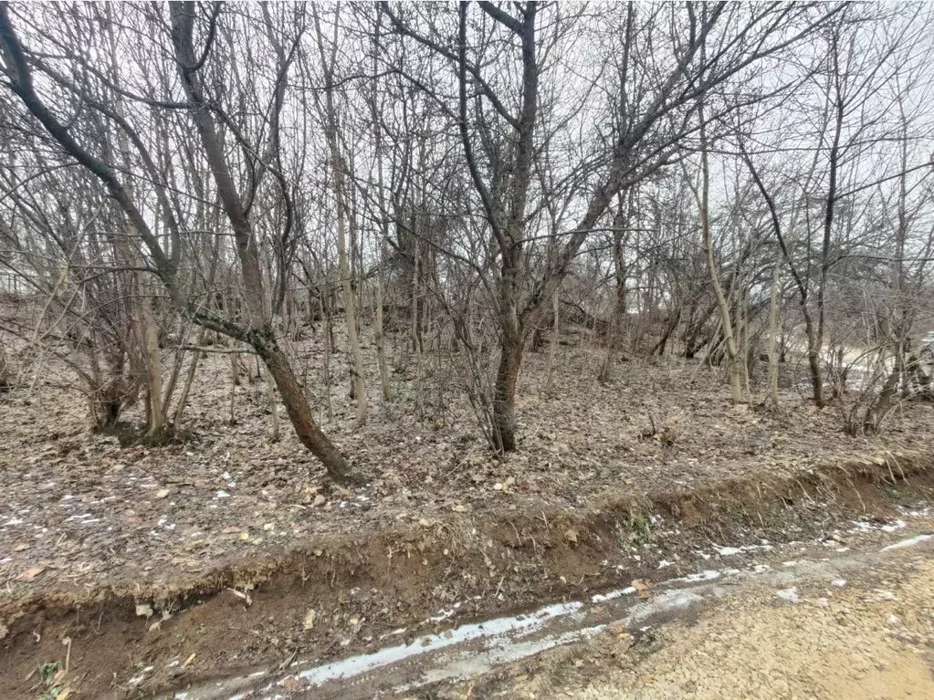 Участок в Московская область, Ленинский городской округ, д. Дроздово  ... - Фото 1